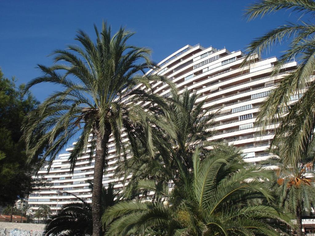 קויירה Apartamentos Florazar II Ajhory מראה חיצוני תמונה
